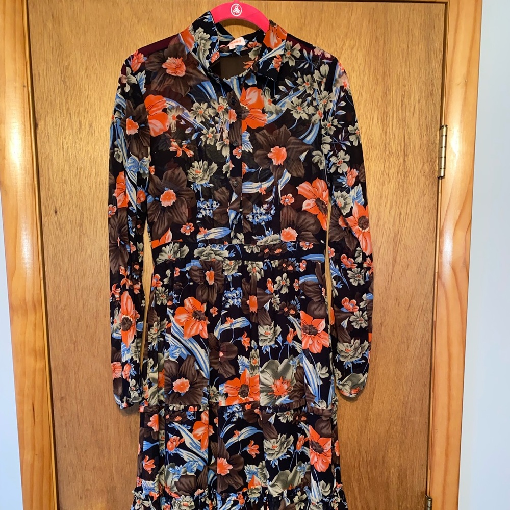 Long dress, sheer at the top, buttons along the mid section to the neck.